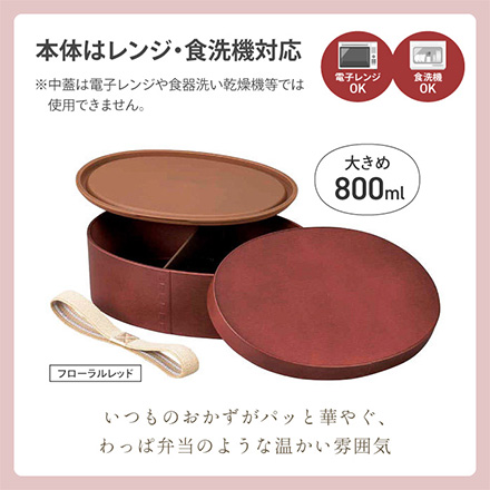 弁当箱 曲げわっぱ一段弁当大 ダークブラウン RIS