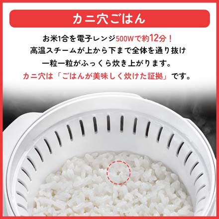 電子レンジ用炊飯器 電子レンジ専用 スチームごはんメーカー 1合 ブラック