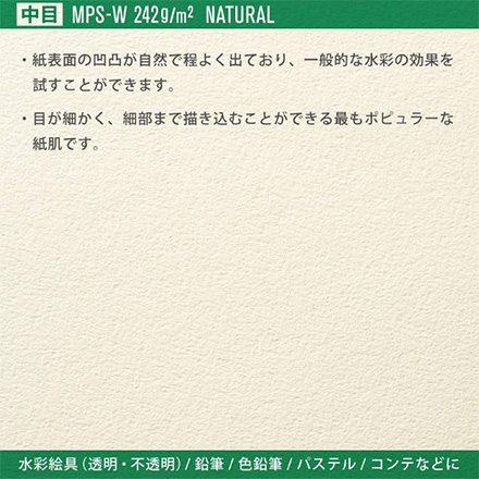 画用紙 ヴィフアール水彩紙スケッチブック中目 【F0】 FDC