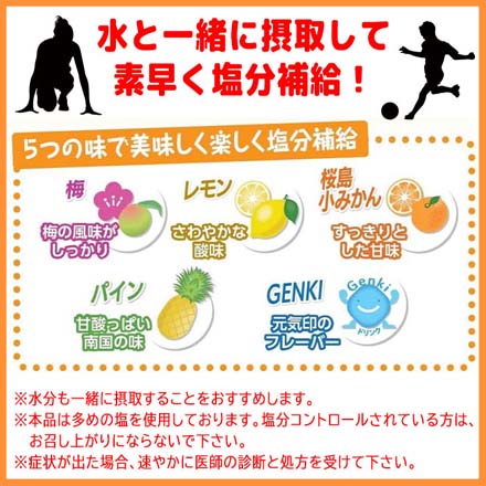 塩飴五兄弟 塩飴 飴 アメ 塩分補給 熱中症対策 ポット入り FDC