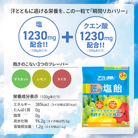 飴 匠の塩飴 MLS 3種アソート FDC