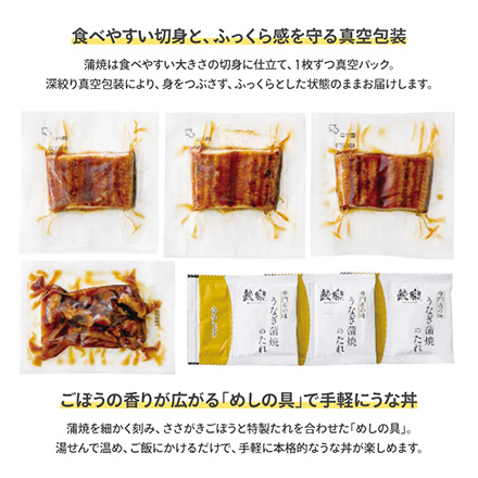 うなぎ蒲焼 切身3枚 めしの具(ごぼう入) セット 九州産 9846-015