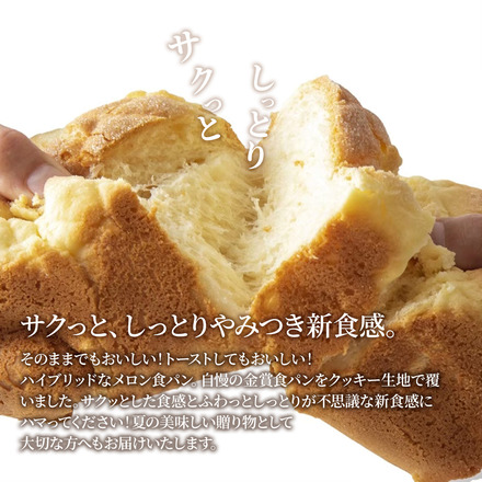金賞食パン 2種2本 食べ比べセット プレミアムシリーズ メロン食パン 4種のチーズ＆ザクザクシュガー食パン 2本セット メロン食パン＆チーズ 川崎製パン kawasaki14