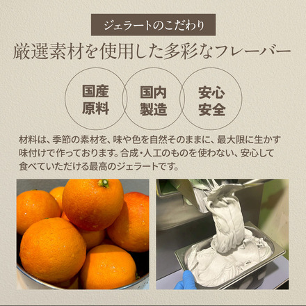 ジェラート 大容量 濃厚ミルクチョコレート 2L ギフト アイスクリーム スイーツ 高級 アイス 贈り物 プレゼント 贈答品 誕生日 自宅用 川崎製パン kawasaki5