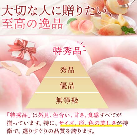 福島県産 桃 特秀品 約 4.7kg 東北ECグローバル