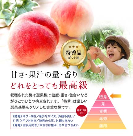 福島県産 桃 光センサー 特秀品 約 2.7kg 東北ECグローバル