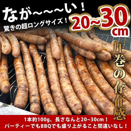 長さ20～30cm 超ロング 超粗挽きウインナー GASBO ガスボー 佐賀県 旬菜舎さと山 100g×10本入×3P yamashiro34 旬菜舎さと山