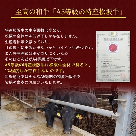特産等級松阪牛 サーロインステーキ600g(300g×2枚) A5等級黒毛和牛メス牛
