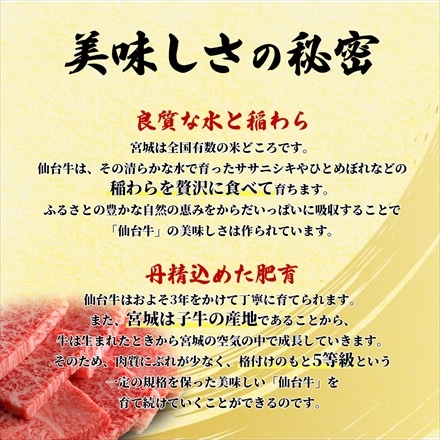 仙台牛 希少部位トウガラシ/トンビ 400g 赤身焼肉用 A5等級黒毛和牛 BMS12和牛限定