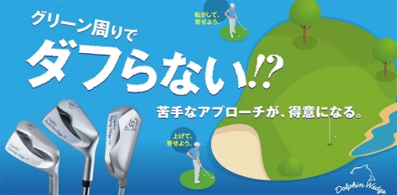 キャスコ ドルフィン DRW-119 DPW-119 DFW-119 ウェッジ Dolphin DP-201 カーボンシャフト DFW-119/55度/33インチ