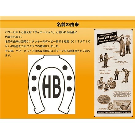 パワービルト ゴルフ モメンタムサイン ドライバー MOMENTUM オリジナルカーボンシャフト 10.5度/S