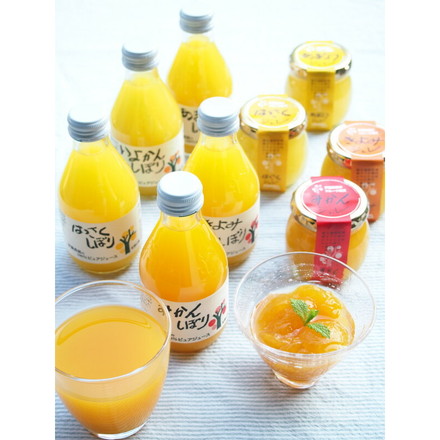 和歌山 伊藤農園 柑橘ジュース&寒天ジュレセット 100%ピュアジュース 180ml×5（みかんしぼり、きよみしぼり、いよかんしぼり、はっさくしぼり、あまなつしぼり 各1本） ピュアフルーツ寒天ジュレ（みかん、きよみ、はっさく、あまなつ 各1個）