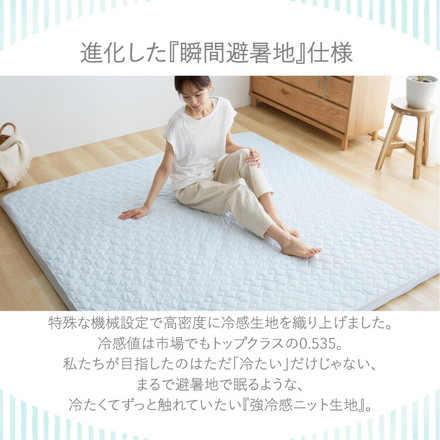 瞬間避暑地 極厚ラグ 205×245cm 強冷感 厚さ60mm 底付き感なし 洗える グレージュ 205×245cm
