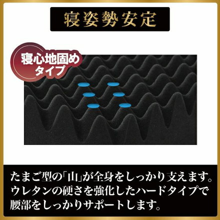 ハードタイプ スリープマジック ゼログラビティ6.0 シングル セミダブル ダブル ライズ RISE セミダブル