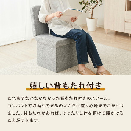 スツール 背付き ワイドタイプ 収納スツール コンパクト ブークレグレー