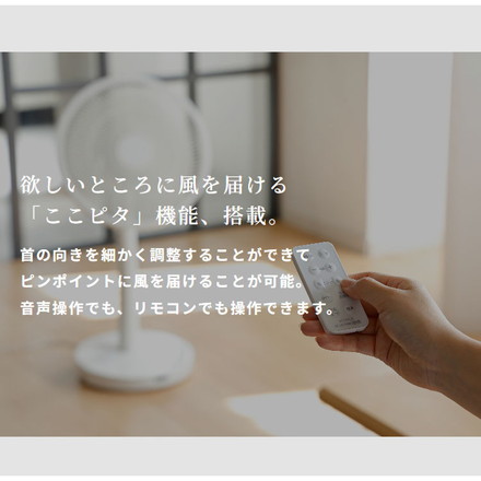 音声操作対応 シロカ サーキュレーター扇風機 SF-V251 30cm羽根 siroca ダークグレー