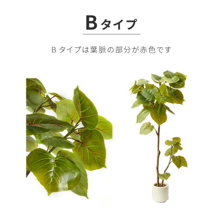人工観葉植物 ウンベラータ 一本 フェイクグリーン 大型 ウンベラータ 155cm 160cm Bタイプ