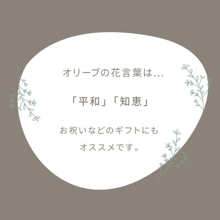 人工観葉植物 オリーブ 一本 フェイクグリーン 130cm