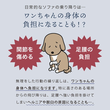 ドッグステップ 2段 階段 滑り止め 幅55cm グレー