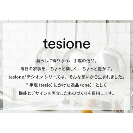 【選べる4サイズ】 tesione テシオン ステンレス フライパン 22cm 24cm 26cm 24cm深型 フッ素不使用 3層構造 ステンレスフライパン 深型 フライパン IH対応 ガス火OK TS-010 22cm
