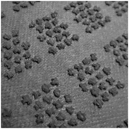 玄関マット Turtle Mat TM Sandstone Stripe 60×85cm 滑り止めラバーつき 柄物 おしゃれ マット コットン