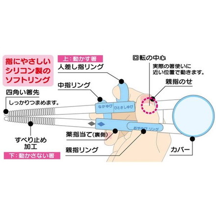 スケーター デラックス トレーニング箸 練習箸 ケース付 14cm はらぺこあおむし