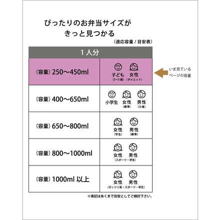 スケーター 銀イオン抗菌 子供用 弁当箱 ランチボックス 360ml スーパーマリオ23 QAF2BAAG キャラクター かわいい 可愛い Skater