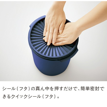 タッパーウェア マキシクイーンデコレーター 11000ml Tupperware ソフトシルク