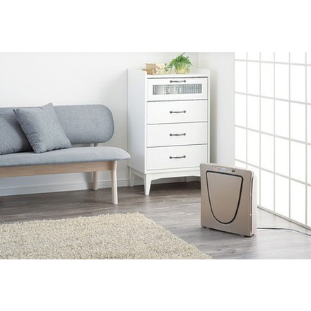 空気清浄機 マイナスイオン発生機能付き メタリックベージュ 高性能HEPAフィルター採用