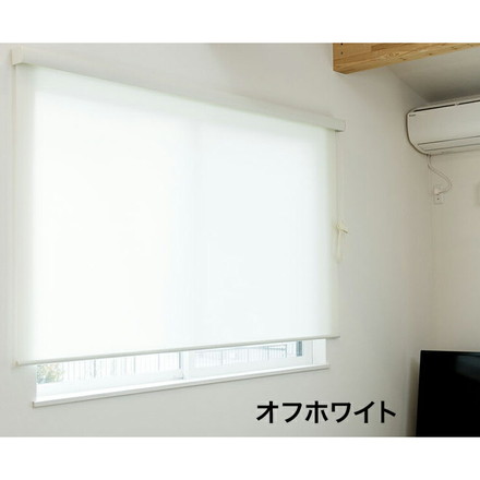 ロールスクリーン カバー付き 幅60cm×高さ135cm シンプル 北欧 オフィス マンション 間仕切り グリーン