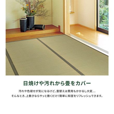い草カーペット 440×352cm 柳川(やながわ) 江戸間10畳 双目織 い草上敷き畳カバー 上敷き い草 マット 抗菌 防臭 騒音抑制 軽量