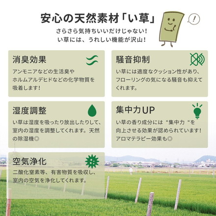 フリーカット 裏付き い草上敷き い草カーペット 340×340cm 団地間8畳 補修テープ付き 敷き詰めタイプ