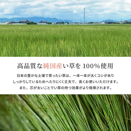 日本製 い草ラグ 261×352cm 江戸間6畳 国産い草100% 裏貼りあり カーペット 畳 マット 抗カビ 消臭 エルモード