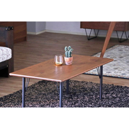 RAGO リビングテーブル センターテーブル 高級感 テーブル ローボード 北欧 一人暮らし リビング 収納 シンプル