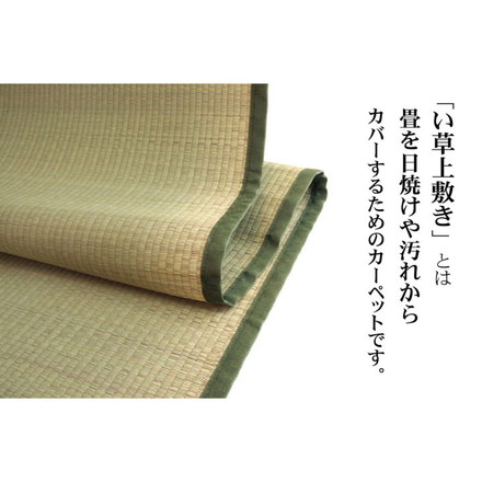 純国産 双目織 い草上敷 『草津』 江戸間6畳（約261×352cm）