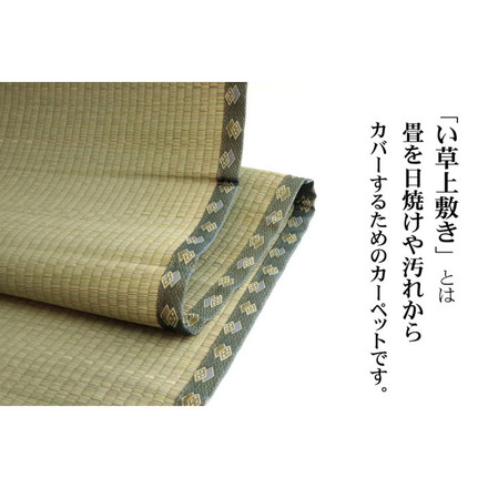 純国産 双目織 い草上敷 『松』 三六間8畳（約364×364cm）