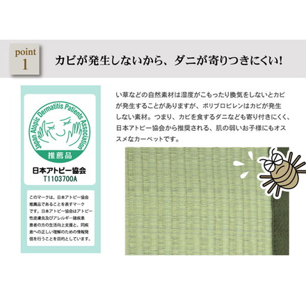 洗える PPカーペット 『五木』 江戸間10畳（約435×352cm）