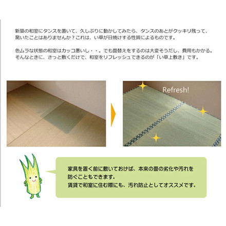 日本製 ラグ 敷き詰めタイプ 純国産 減農薬栽培 い草 上敷き カーペット 糸引織 『西陣』 江戸間4.5畳(約261×261cm)