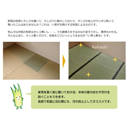 日本製 ラグ カーペット い草上敷 敷き詰めタイプ 純国産 い草 上敷き カーペット 麻綿織 『清正』