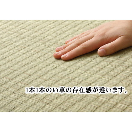 純国産 沖縄ビーグのラグ 『DX沖縄ビーグ』 約191×250cm（裏:不織布）