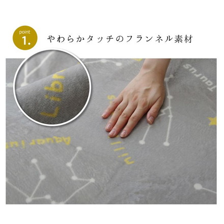 抗菌・防臭 ウォッシャブル フランネル ホットカーペットカバー 『WSミリオン