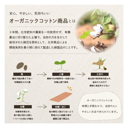 クッション 四角 厚い 持ち運び 日本製 オーガニックコットン 綿100% 無地 洗える 座布団 約40×40cm