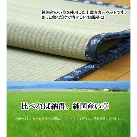 純国産 い草 上敷き カーペット 糸引織 『岩木』 江戸間4.5畳(約261×261cm) 岩木
