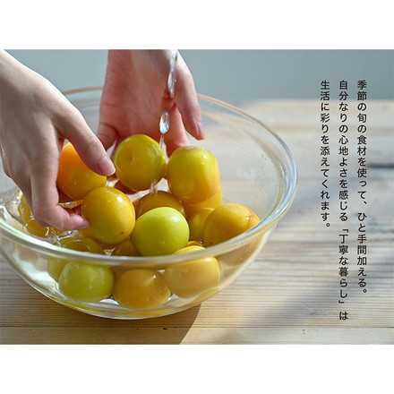 HARIO ハリオ 耐熱ガラスの丼鉢 フタ付き 電子レンジOK 食洗機対応 オール耐熱ガラス製 600ml 透明 おしゃれ 丼鉢 丼ぶり どんぶり ガラス皿 お皿 そうめん 茶碗蒸し