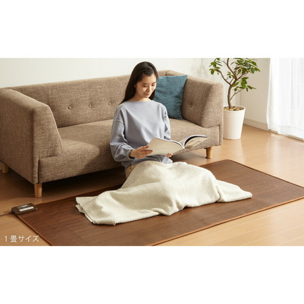 3畳 フローリング調電気マット 235×195cm ホットカーペット 電気マット ホットマット キッチンマット 防水 CWC301H-BW ブラウン