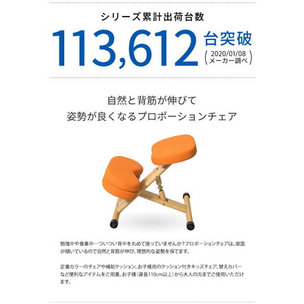 プロポーションチェア 専用カバー 本体別売り 座面と膝の2枚セット 学習チェア用 カバー 背筋が伸びるチェア用 ブルー