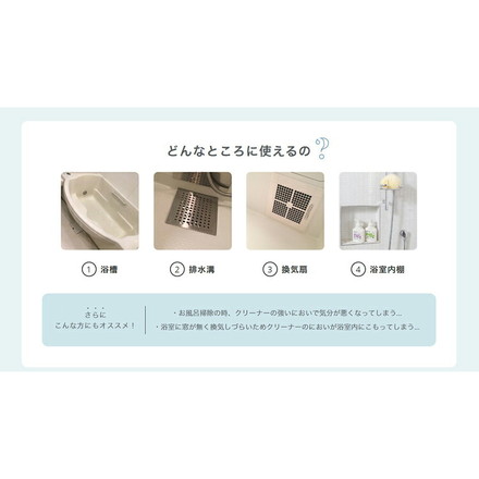 ecostore バスルームクリーナー シトラス 500mL エコストア お風呂用洗剤 お風呂掃除 洗剤 バス用洗剤 お風呂の洗剤 お風呂洗剤