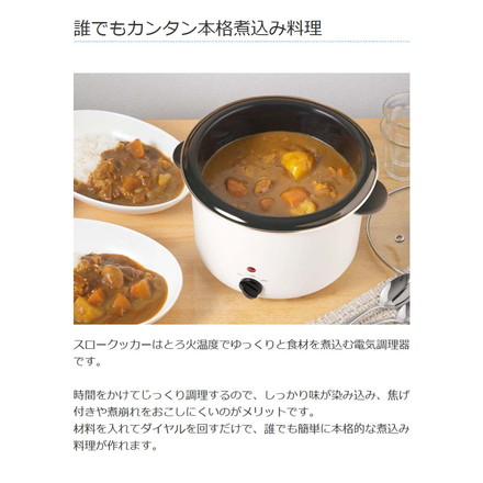 ライソン 電気煮込み鍋 スロークッカー 3.0L ホーロー鍋 電気調理鍋 軽量 ダイヤル 簡単調理 卓上調理 水洗い 丸洗い 節電 火を使わない カレー KDPC-30BW LITHON