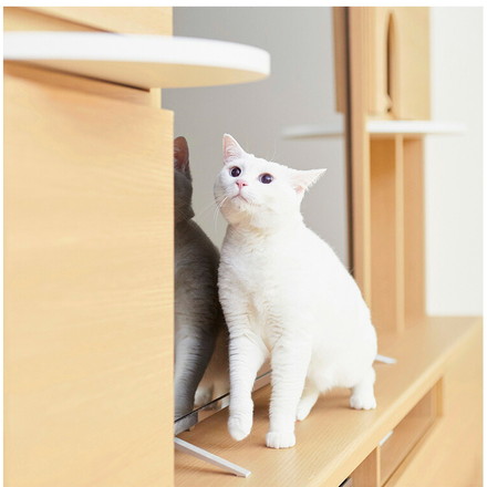 追加ステップ 猫用 ニャコモ専用 アイボリー キャットウォーク キャットタワー 猫家具 リビング 収納 取付金具付 ニャコモ NCM-T40IV