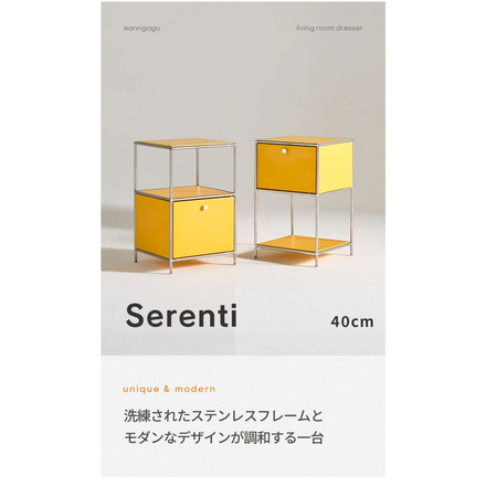 ステンレス モジュールキャビネット 40cm 2段 完成品 オールステンレス ミッドセンチュリー モジュール家具 モジュール棚 収納ラック 壁面 収納 キャビネット 韓国インテリア アルスルイ カーボンブラック